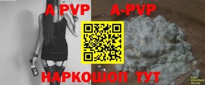 индика Нальчик
